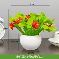 Xiaohong palm+№ 1 имитация фарфорового белого бассейна