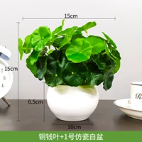 Медная монетная лист+№ 1 Имитационный фарфоровый белый бассейн