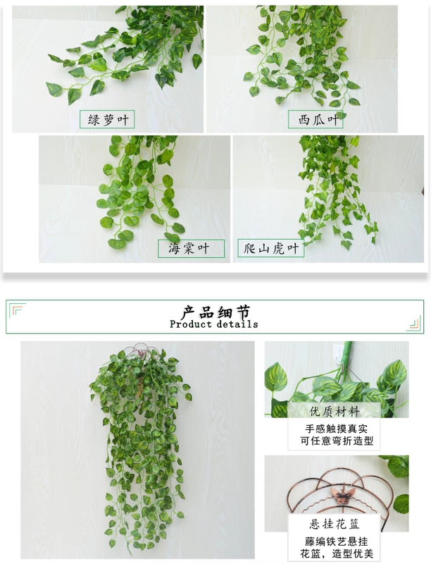 Cây leo tường treo Cây mô phỏng cây hoa giả mây trang trí cây xanh tường cây điều hòa không khí lá giỏ củ cải xanh - Hoa nhân tạo / Cây / Trái cây