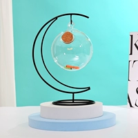 Лунная подставка + 12 шариковых бутылок, бесплатные светящиеся наклейки.