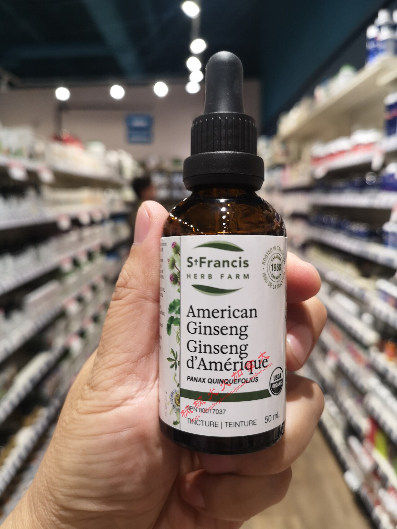 Canada St Francis American Ginseng Ginseng Drops 50ml