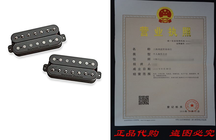 Seymour Duncan Nazgul Sentient Set 7 String Electric Guitar