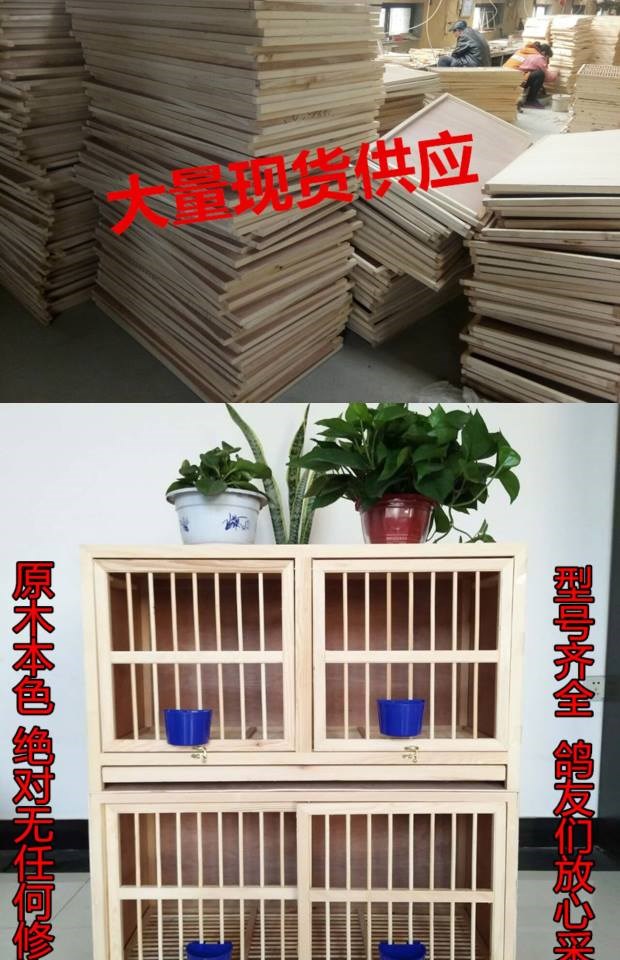 Chim bồ câu phù hợp với giải phóng mặt bằng lồng chim bồ câu cung cấp thiết bị chim bồ câu lồng hộp rắn gỗ đua chim bồ câu giống nhựa lồng gỗ - Chim & Chăm sóc chim Supplies lồng sing