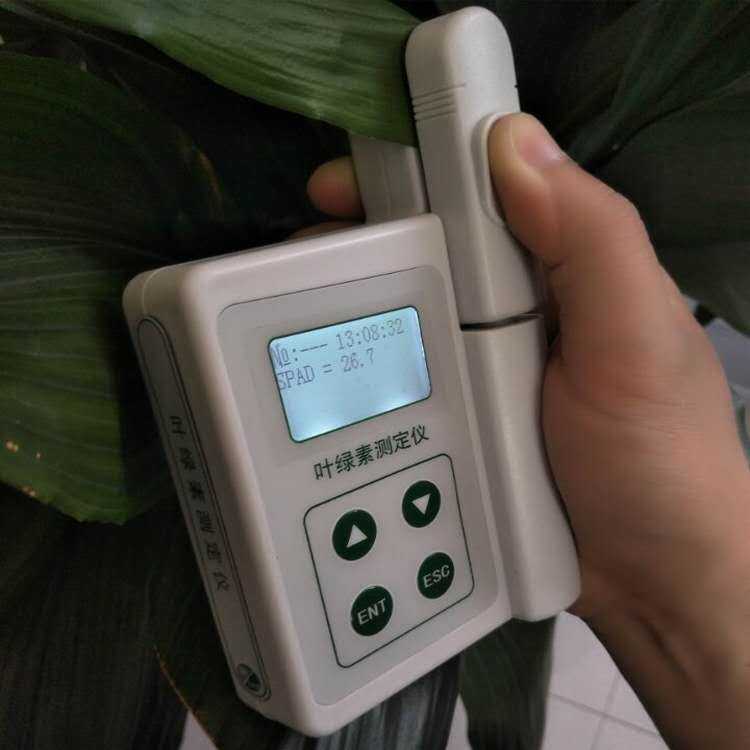 叶绿素测定仪    LYS-A    杭州绿博    精品