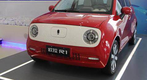 Suitable for Great Wall Ora R1 Black Cat Front and Rear Bumpers, Front and Rear Guard Bars, Surround Bars, Car Accessories, Painted Finish