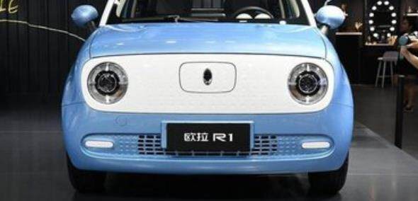 Suitable for Great Wall Ora R1 Black Cat Front and Rear Bumpers, Front and Rear Guard Bars, Surround Bars, Car Accessories, Painted Finish