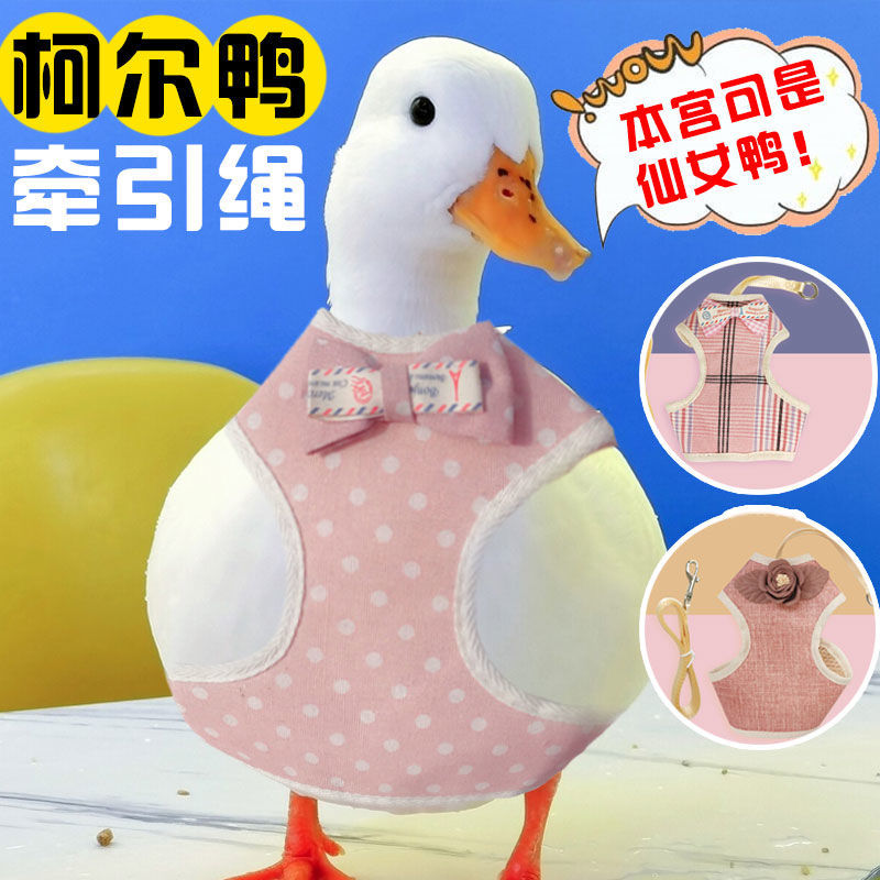 Cole Duck Leash, Small Duck Walking Leash, Chicken Walking Leash, Special Outdoor Supplies for Raising Small Ducks