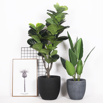 Big nose Nordic medium-large simulation green plant traveler banana turtle bamboo Indoor living room decoration simulation plant bonsai