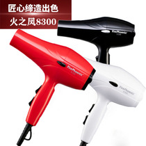 Fires Feng 8300 Hairdryer Home High power Silent Blow Hair Salon Hair Salon Hair Style Hairdresser Special Wind-dryer