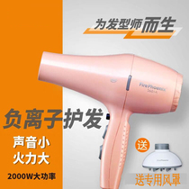 Fengfeng 5601A electric hair dryer hair salon hair salon special power high temperature silent hot and cold wind cylinder