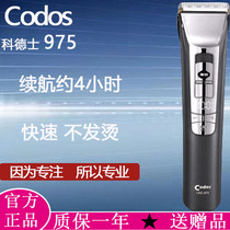 Codesserts 975 Professional Hairdresser Electric Pushcut Rechargeable Cut Hair Shave Hair Shave Hair Salon Special Electric Pushers