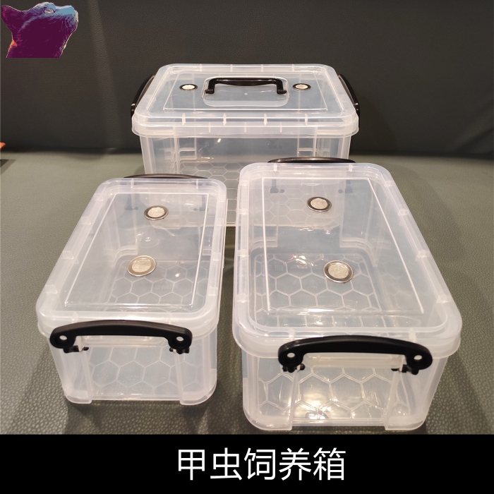 Beetle Breeding Box, Large Breeding Box Suitable for Raising Adult and Juvenile Insects, Reptile Breeding Box, Breathable and Transparent