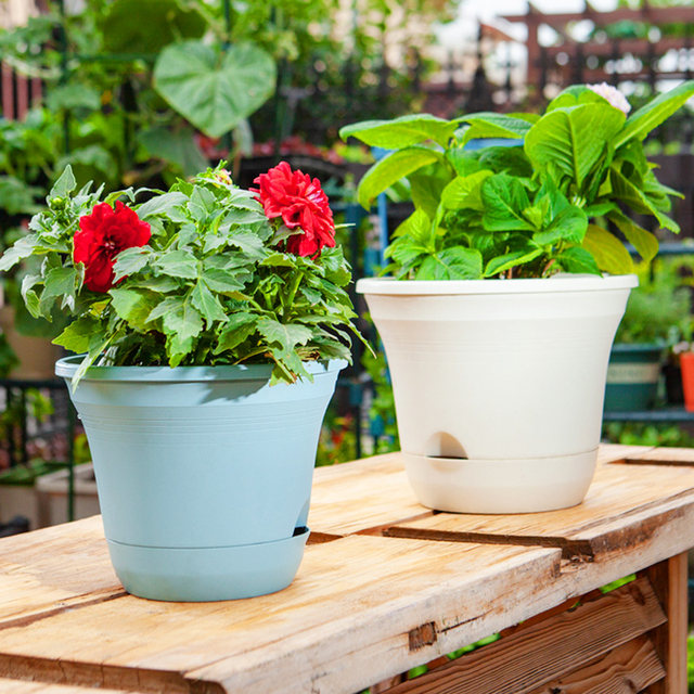 Balcony thickened flowerpot ຖາດດູດນ້ໍາອັດຕະໂນມັດຫ້ອງຮັບແຂກພາດສະຕິກທີ່ບໍ່ມີນ້ໍາກາລອນ radish ສີຂຽວການເກັບກູ້ຂະຫນາດໃຫຍ່