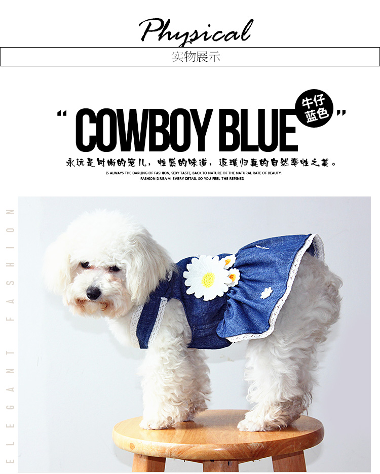 Quần áo chó mùa xuân và mùa hè quần áo thú cưng denim công chúa váy cotton Teddy gấu con chó nhỏ trang phục mèo - Quần áo & phụ kiện thú cưng quan ao thu cung