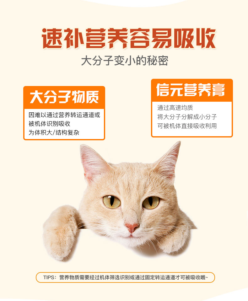 Phát triển kho báu dinh dưỡng mèo kem dinh dưỡng cơ bản NC4 / 125g cửa hàng chính thức - Cat / Dog Health bổ sung cho mèo con uống sữa gì