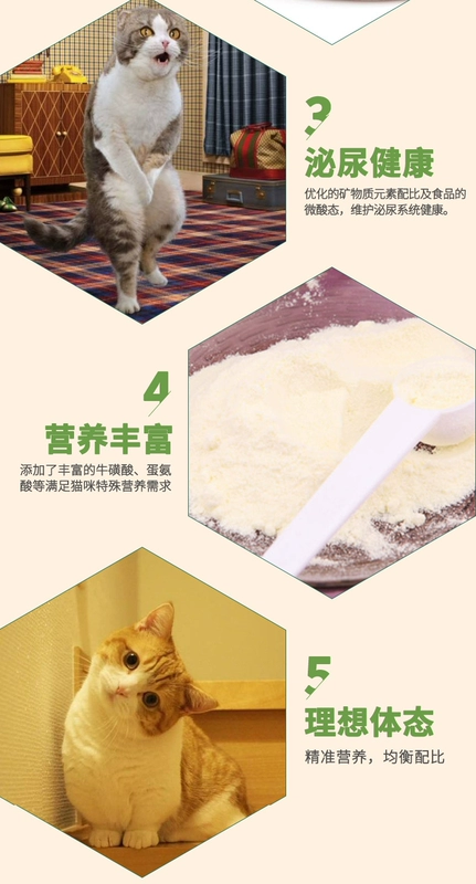 Remi Gaoyuan Nutrition Tuna Flavoured Cat Food Thức ăn đa năng cho mèo Thức ăn chủ yếu dành cho mèo trưởng thành và mèo con 550g - Cat Staples