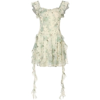 Зеленый (пятно)