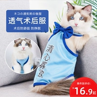 [猫咪绝育服母猫公猫防舔断奶手术后服夏装薄款防掉毛透气猫咪用品]