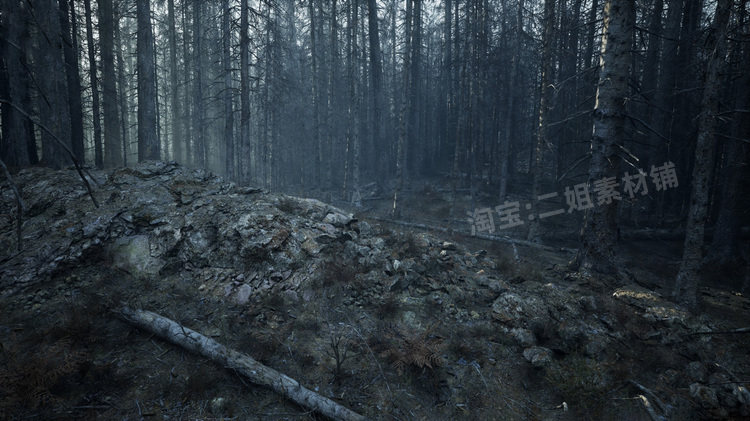 图片[20]-MW Burned Dead Trees Forest Biome燃烧森林死树枯木UE5虚幻5.1-cg男孩