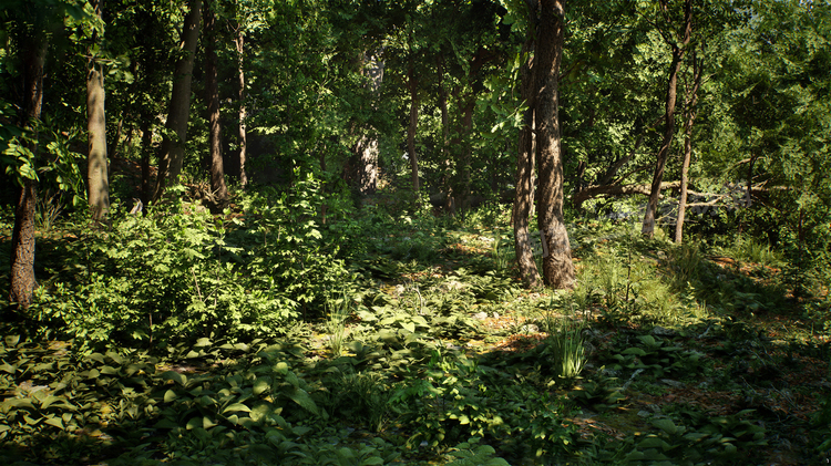 图片[9]-Japanese Forest Grave日本森林坟墓神社植物道具UE5.1游戏资产-cg男孩