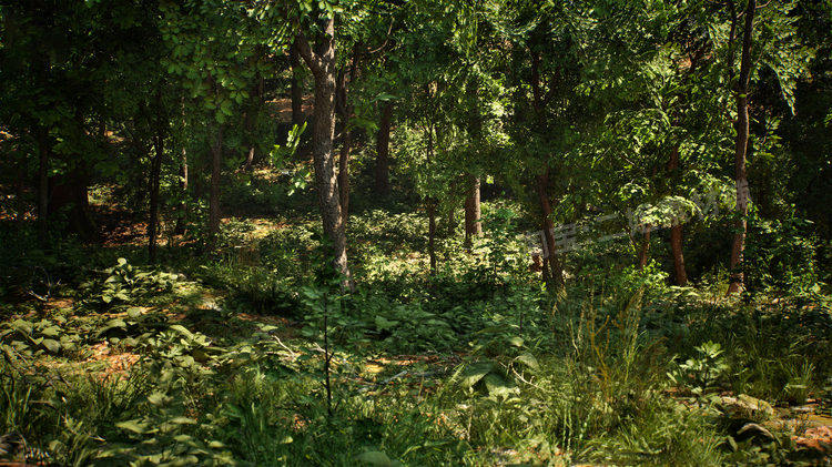 图片[10]-Japanese Forest Grave日本森林坟墓神社植物道具UE5.1游戏资产-cg男孩
