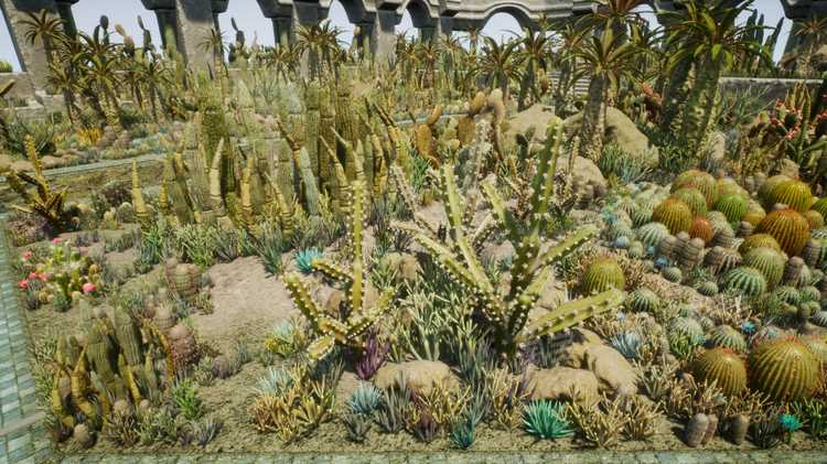 图片[16]-Cactus Plants: Desert Garden仙人掌植物沙漠花园岩石UE4.27建筑-cg男孩