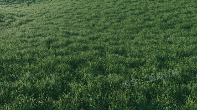 图片[20]-ropical Jungle Pack热带丛林UE4资产虚幻5植物岩石花草树木藤蔓-cg男孩