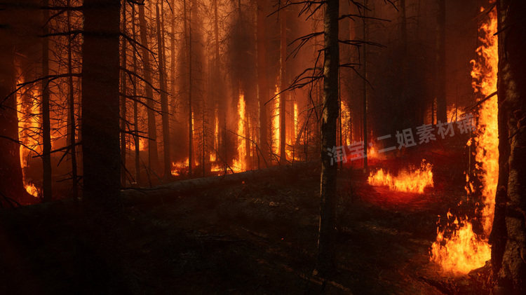 图片[7]-MW Burned Dead Trees Forest Biome燃烧森林死树枯木UE5虚幻5.1-cg男孩
