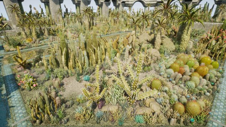 图片[9]-Cactus Plants: Desert Garden仙人掌植物沙漠花园岩石UE4.27建筑-cg男孩