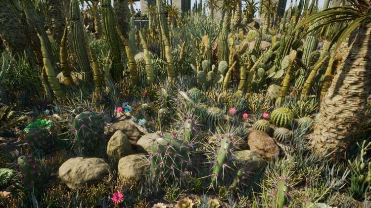 图片[10]-Cactus Plants: Desert Garden仙人掌植物沙漠花园岩石UE4.27建筑-cg男孩