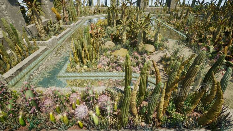 图片[4]-Cactus Plants: Desert Garden仙人掌植物沙漠花园岩石UE4.27建筑-cg男孩
