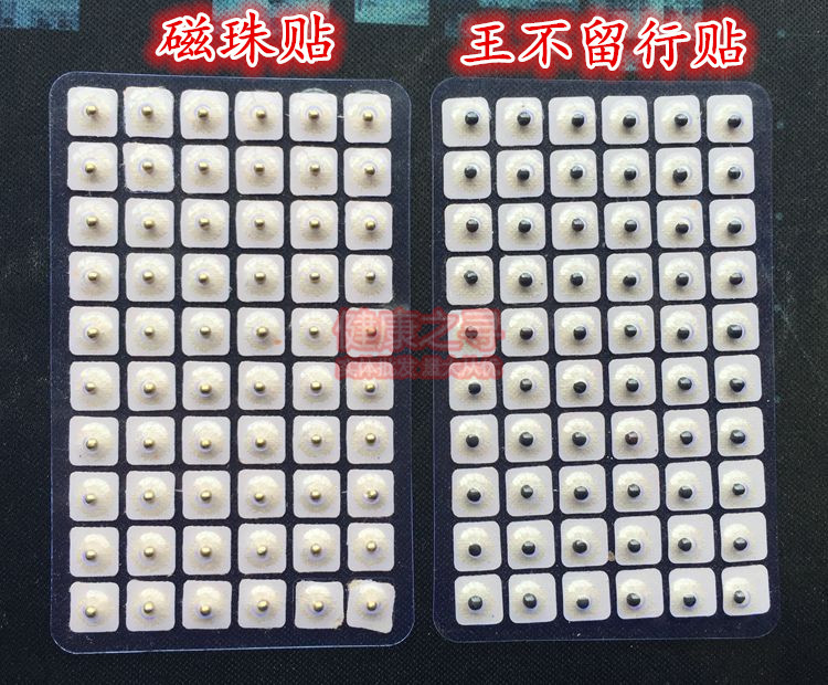 王不留行籽耳穴贴 耳豆600贴 王不留行籽耳贴 王不留耳贴