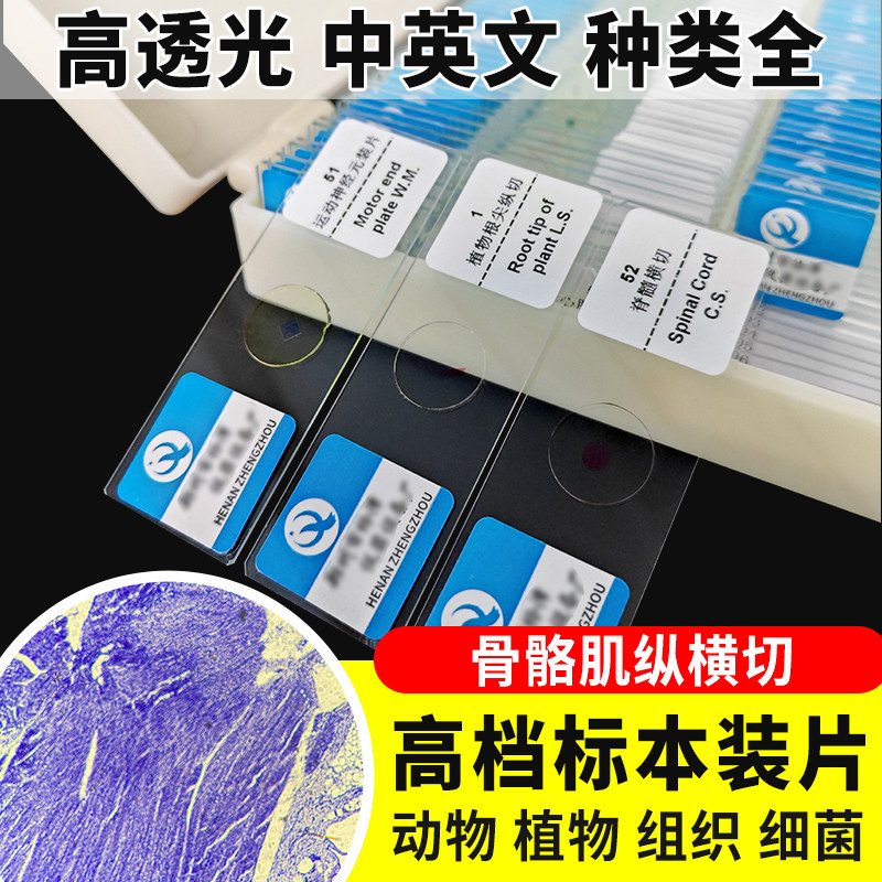 骨骼肌纵横切切片装片切片装片生物切片涂片小学初中高中生物科学