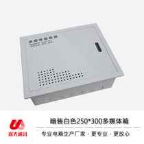 Toguang Communication 250300 weak current box Multimedia hub box Information box wiring box White empty box