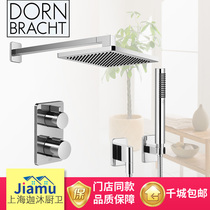 German contemporary Dornbracht shower shower 28786710-00 rain column shower shower with shower arm