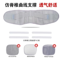 Модернизированные модели [поддержка имитации песни позвоночника]