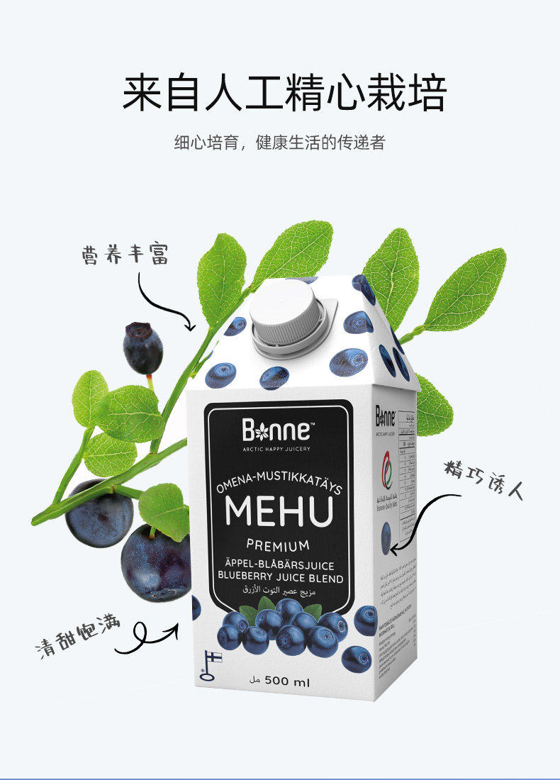 芬兰进口，Bonne 宝霓 苹果蓝莓混合果汁 500mL*6瓶 59元包邮 买手党-买手聚集的地方