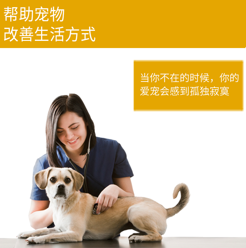 4 miếng đồ chơi chó cắn cắn bóng mèo vui nhộn đào răng hàm la hét gà gáy Teddy chó con Golden Retriever tháp đồ chơi cho mèo