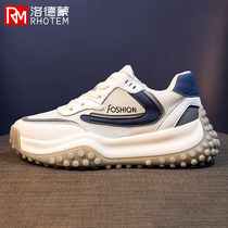 Lordmon Daddy shoes Womens autumn breathable thin mesh sneakers thick soled casual Forrest Gump womens shoes ins tide