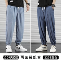 2209 Sky Blue+2208 Blue