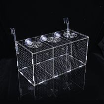 Fish tank isolation box acrylic transparent mini parrot peacock golden wave hatching box fry breeding box