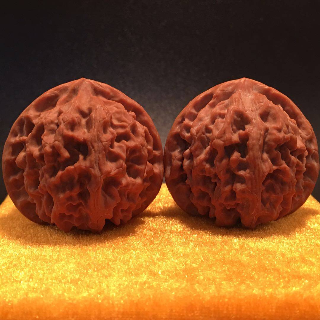 Su Suwen play walnut handle parts for the live studio