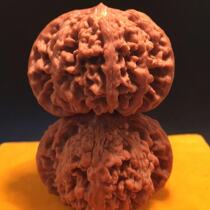 Su Suwen played walnut handle official hat live to make up the difference