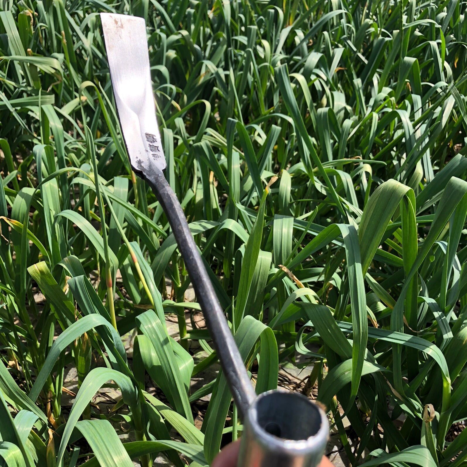 Small shovel shovel grass weeding garden art tools for digging wild vegetables by digging wild vegetables special shovels to dig the dandelion