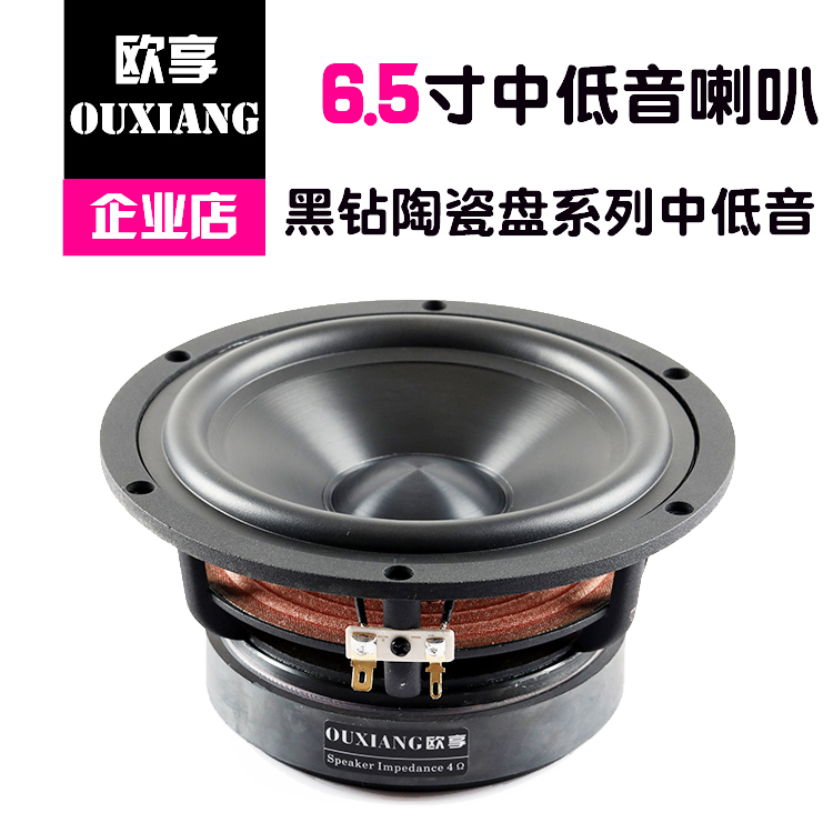 6 5 Inch Horn Black Drill Ceramic Basin Series 6 5 Medium Bass Horn Big Magnetic Steel Cast Aluminum Frame HIFI Grade Sound
