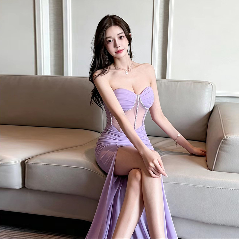 Nightclub Work Attire, Slim and Sexy Sheer Dress, Bodycon Long Dress, Women's Evening Gown, High-End Feel, Night Shift