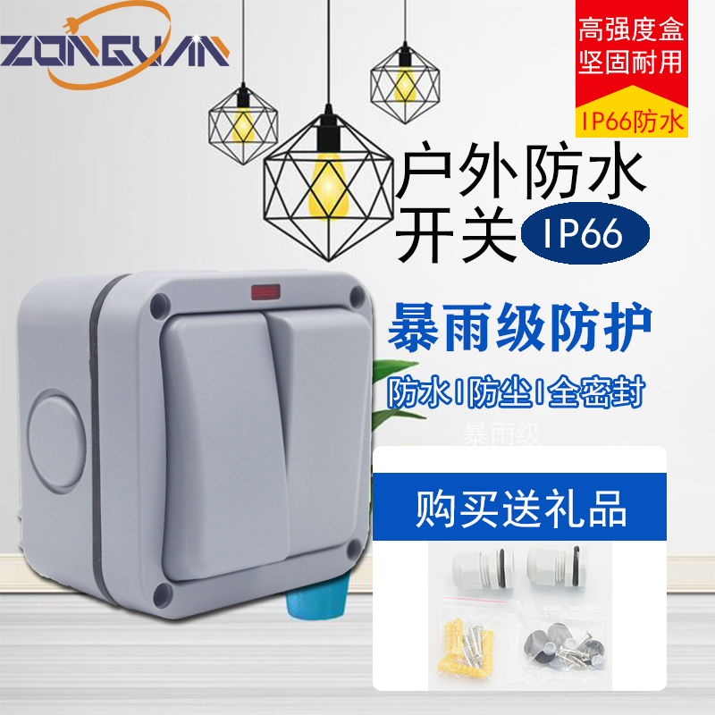 Home user outside waterproof switch rainproof shopping mall IP66 open bathroom double open double control two-bit 220V Hong Kong 20A