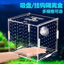 Separator Betta fish tank isolation box Gaka Phoenix tail breeding box King-size delivery room Ornamental shrimp juveniles hanging production