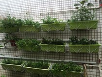 Window sill hanging basket flowerpot planting gardening about flower plate Art green planting flower planting flower trough thick European hanger hanging
