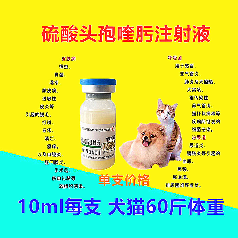 Veterinary dog cat pet cefquinome liquid antiinflammatory drug cat dog cough and asthma gastrointestinal anti-bacterial anti-inflammatory 10ml single-branch